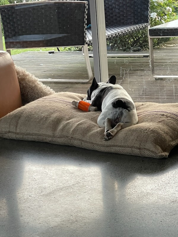 Tough Stuff Pet Beds - Small