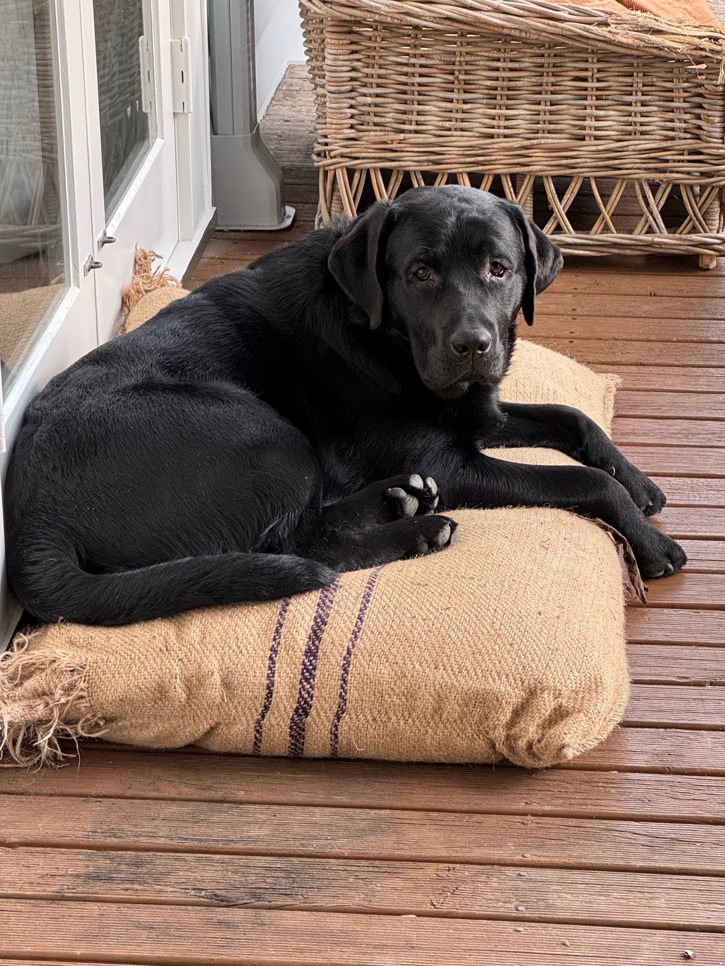 Tough Stuff Pet Beds - Medium