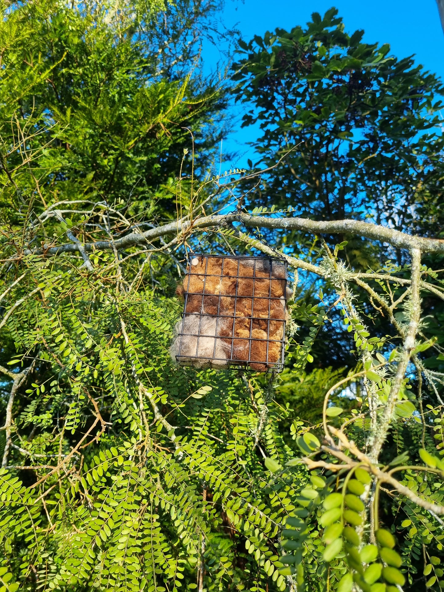 Native Bird Nesting Wool