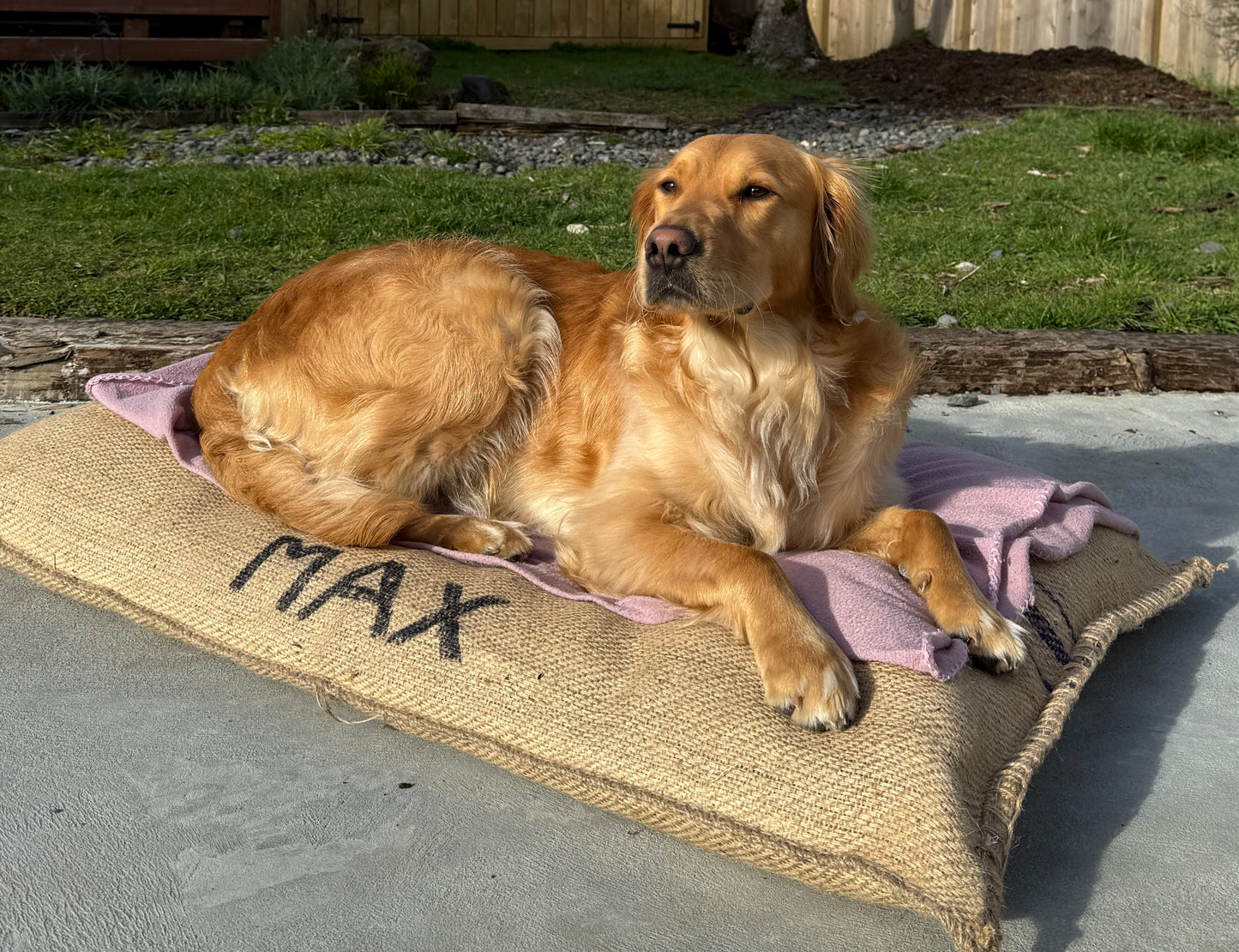 Tough Stuff Pet Beds - Large